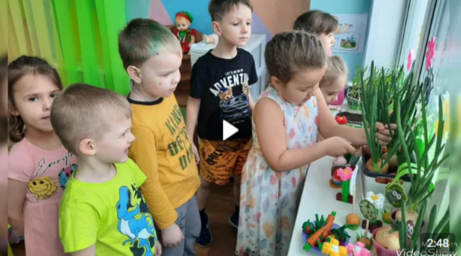 Огород на подоконнике Огород на подоконнике.