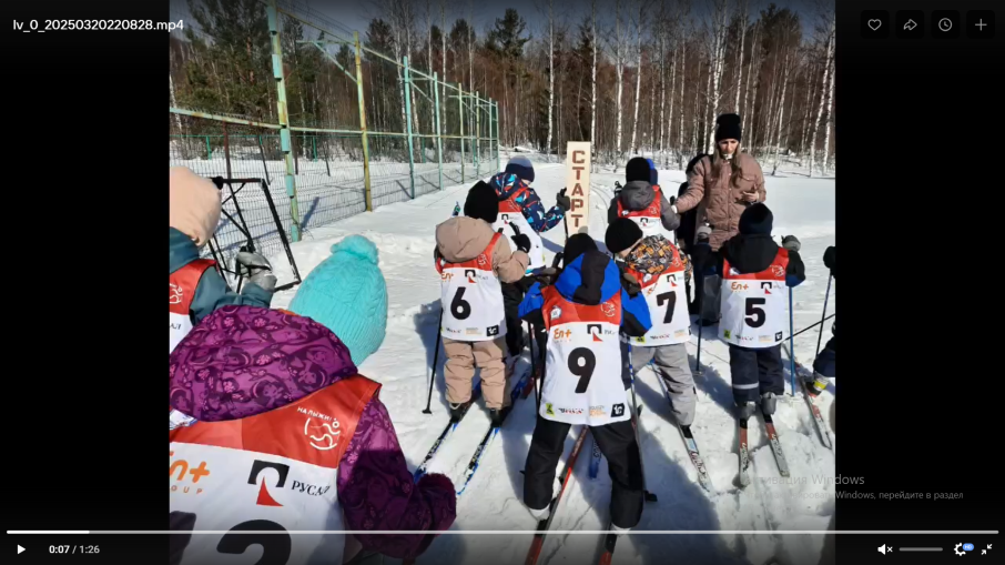 Соревнования по лыжным гонкам. Соревнования по лыжным гонкам.